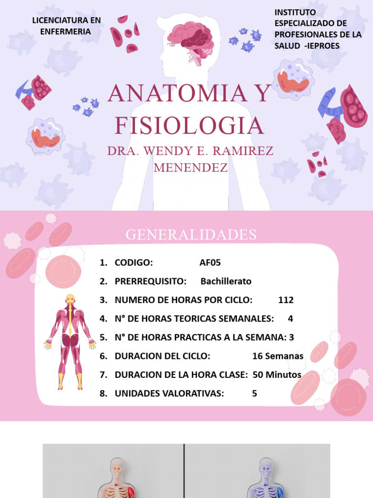 Anatomia Y Fisiologia 1 Pdf Anatomía Cuerpo Humano