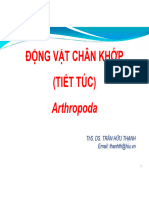 Bài 5 Tiết Túc