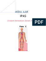 MA IPAS Peredaran Darah Kls 5