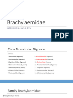 6 VPAR-55 Lec Brachylaemidae Troglotrematidae1