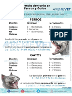 Formula Dentaria Canina/felina