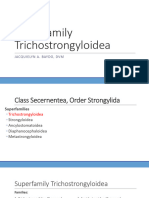 11 VPAR-55 Lec Superfamily-Trichostrongyloidea