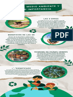 Infografía Cuidado Del Medio Ambiente Moderno Verde - 20240218 - 192403 - 0000