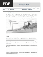 Teste Diagnostico 8º ano escola