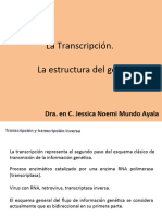 Transcripción Anáhuac (1) (Autoguardado)