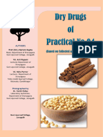 Dry Drugs of Practical No 04
