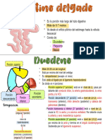 Copia de Flashcards 