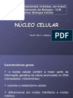 9 - Núcleo Celular