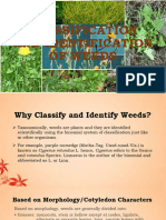 3E Classification and Identification of Weeds