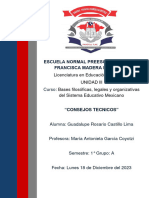 Guadalupe Rosario Castillo Lima - Tarea 5-lll (Puntos Importantes Del CTE)