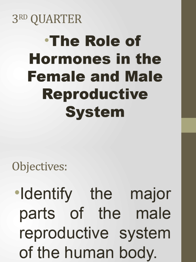 Hormones in Male and Female Reproduction | PDF | Reproductive System ...