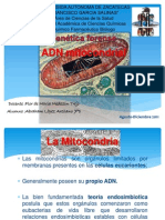 ADN mitocondrial