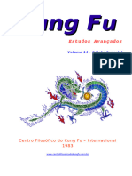Kung-Fu (Estudos Avançados) Volume 14 (Wing-Chun)
