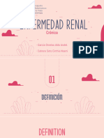 Enfermedad Renal Cronica DX
