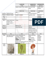 Fungi Classes Concised Table