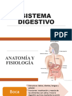 Sistema Digestivo