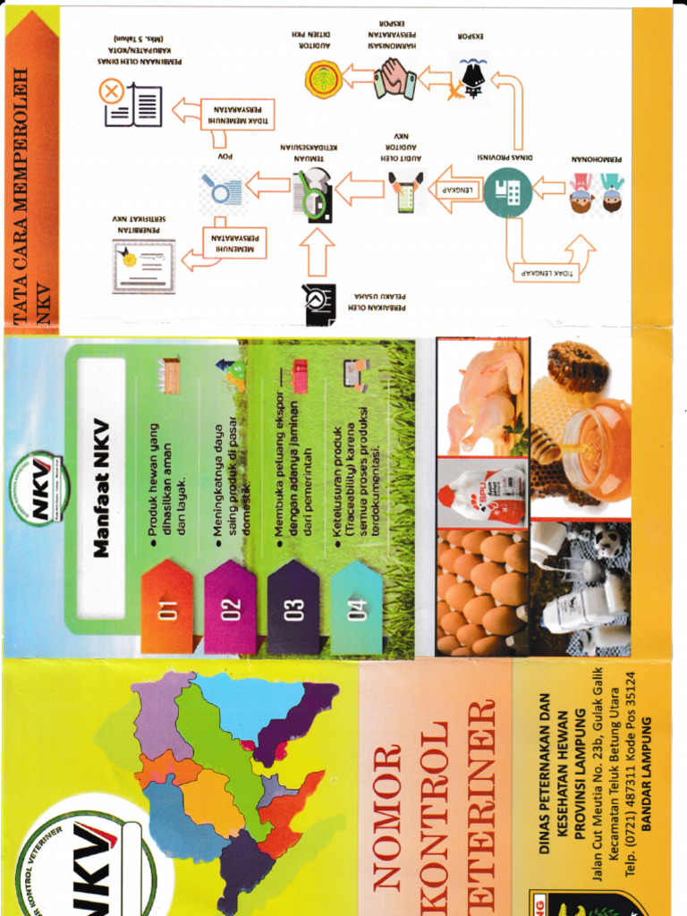 NKV Leaflet | PDF