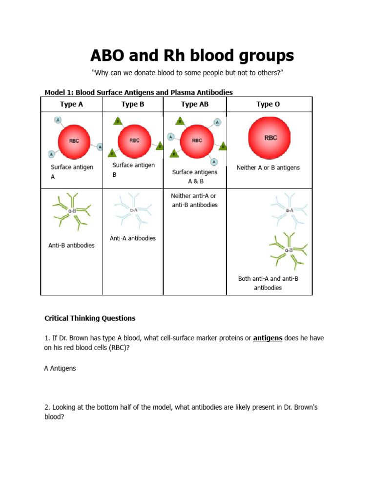 What antigen determines blood group as positive or negative?, image size:768x1024