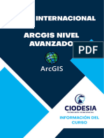 ArcGIS Avanzado