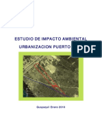Estudio de Impacto Ambiental Urbanizacion Puerto Real