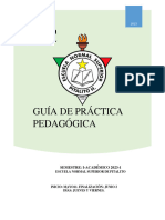 GUÍA DE PRÁCTICA PEDAGÓGICA Caro