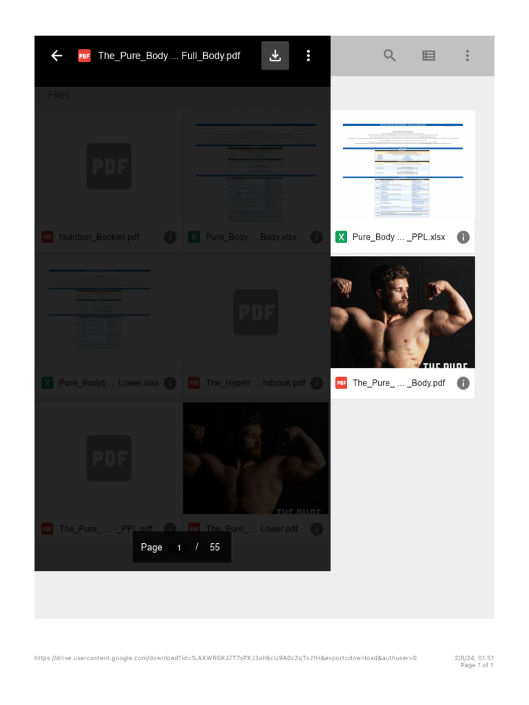 Jeff Nippard Pure Bodybuilding Program Phase 2 Pdf Reddit