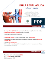 Insuficiencia Renal Aguda