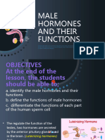 Male Hormones and Their Functions