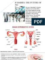 Male Reproductive System (Week 1)