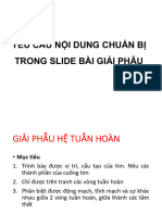 Yêu Cầu Bài Thực Hành Giải Phẫu - Lớp Dược