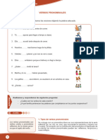 Tema 3 Verbos Prenominales