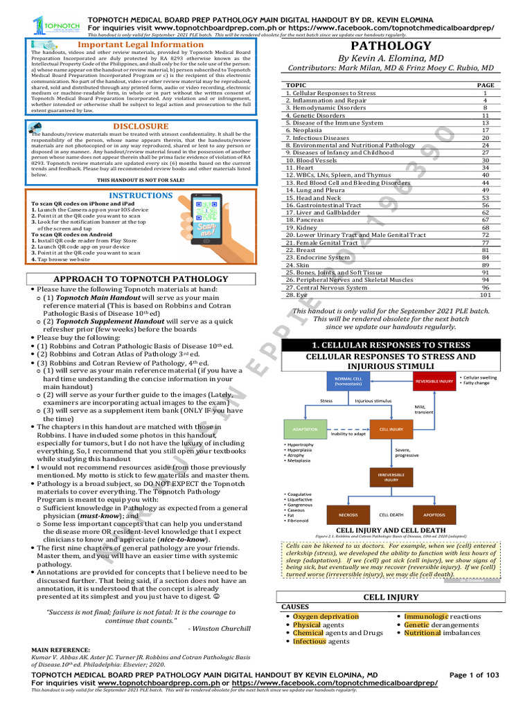 Pathology Pdf Apoptosis Necrosis