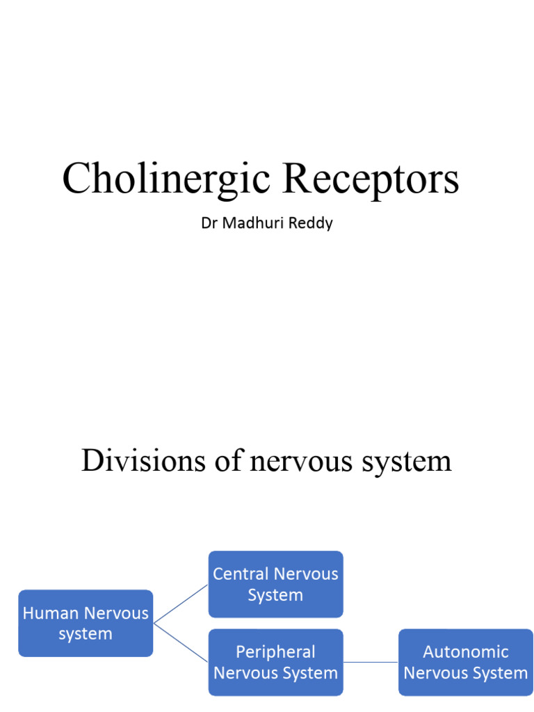 Cholinergic Receptors and Nervous System Functions | PDF ...