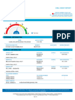 24 XXX XXX TP Cibil Report