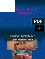 Sistem Gerak Pada Manusia