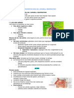 Unitat 6 - Fisiopatología de L'aparell Respiratori