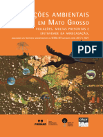 Infracoes Ambientais de Mato Grosso 2022-1-1