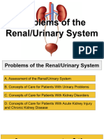 Renal Urinary System