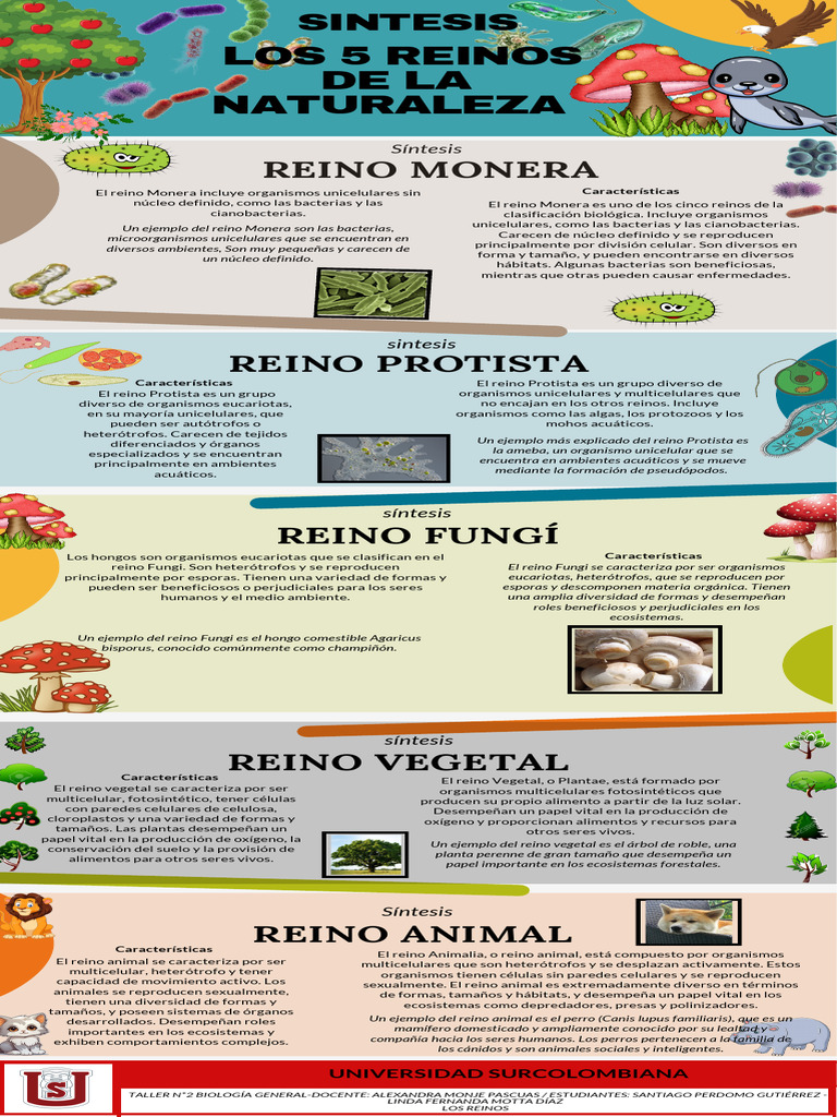 Taller N 2 LOS REINOS | PDF | Plantas | Hongo