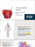 The Circulatory System