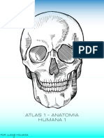 Atlas Anatomia p1 - C