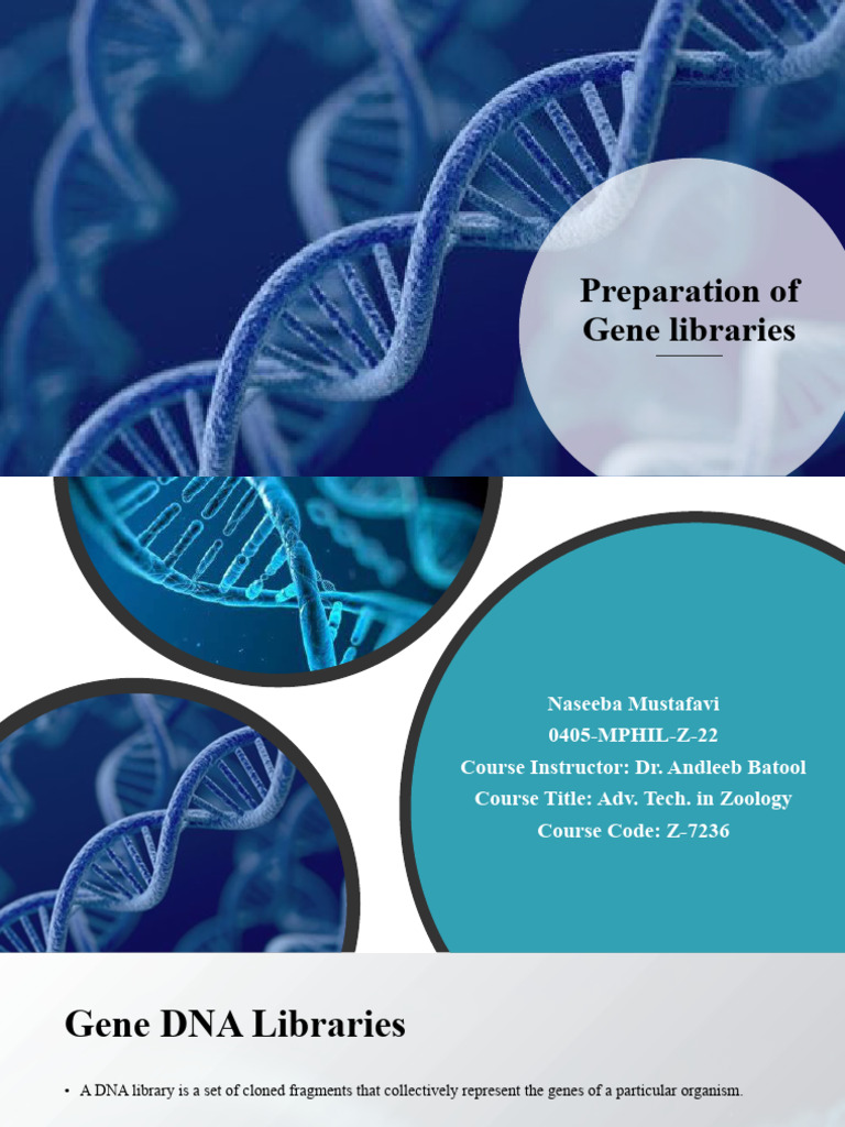 Preparation Of Gene Libraries Pdf Complementary Dna Molecular Cloning