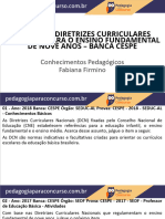 Slides Aulas Simulado Dcnef Cebraspe-1