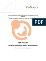 Indice PIP Diplomado 2020 UAGRM Semipresencial Con Apoyo Virtual