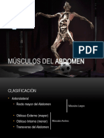 Musculos Del Abdomen