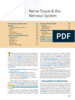 CNS 1 Histology