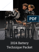 Cap City 2009 Battery Packet