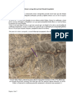 O problemă cartografică în Munții Gurghiului