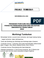 Morfologi Tumbuhan Pesisir