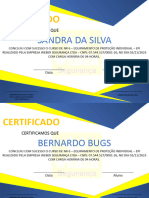 Certificado Modelo 2
